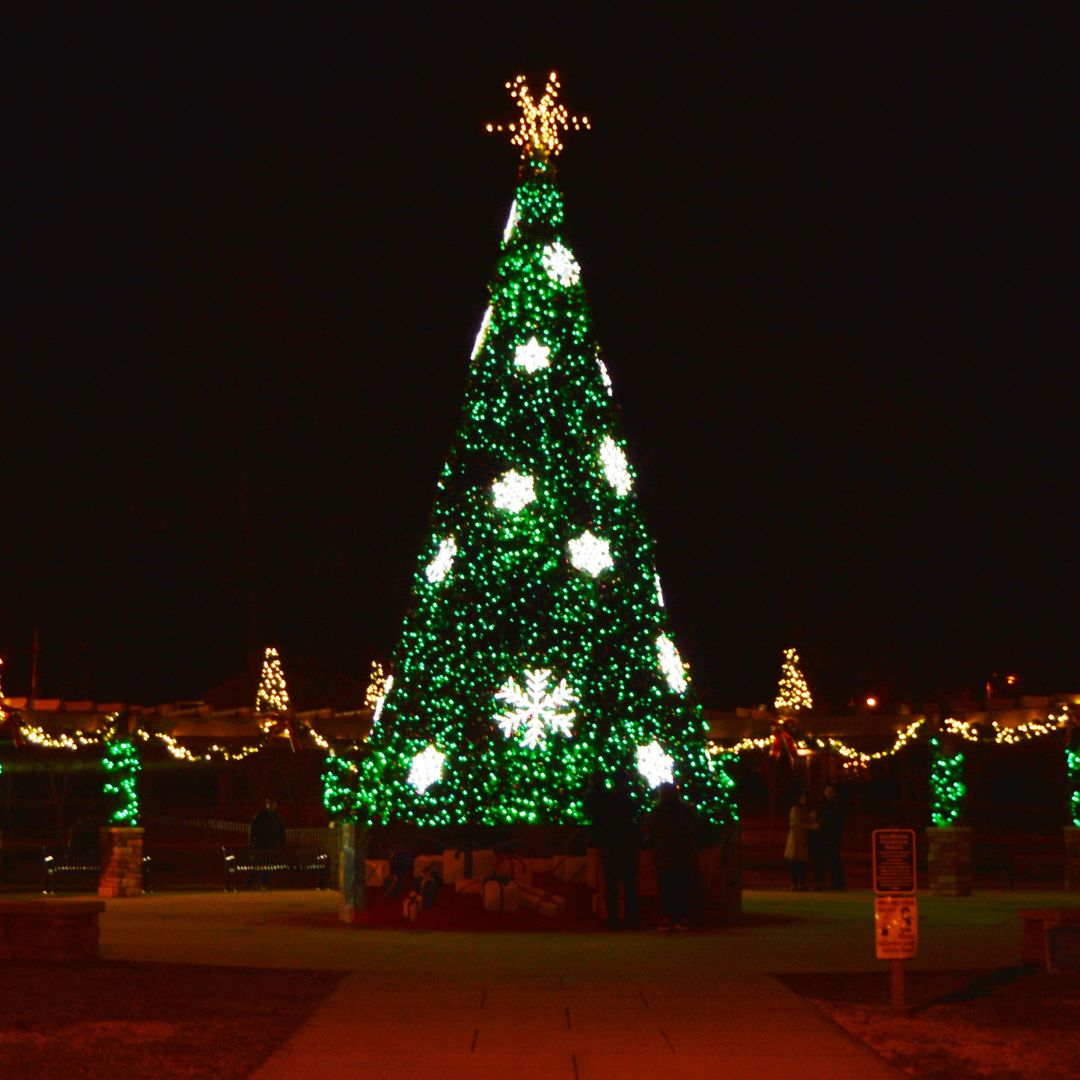 large christmas tree at dogwood park lit up at night