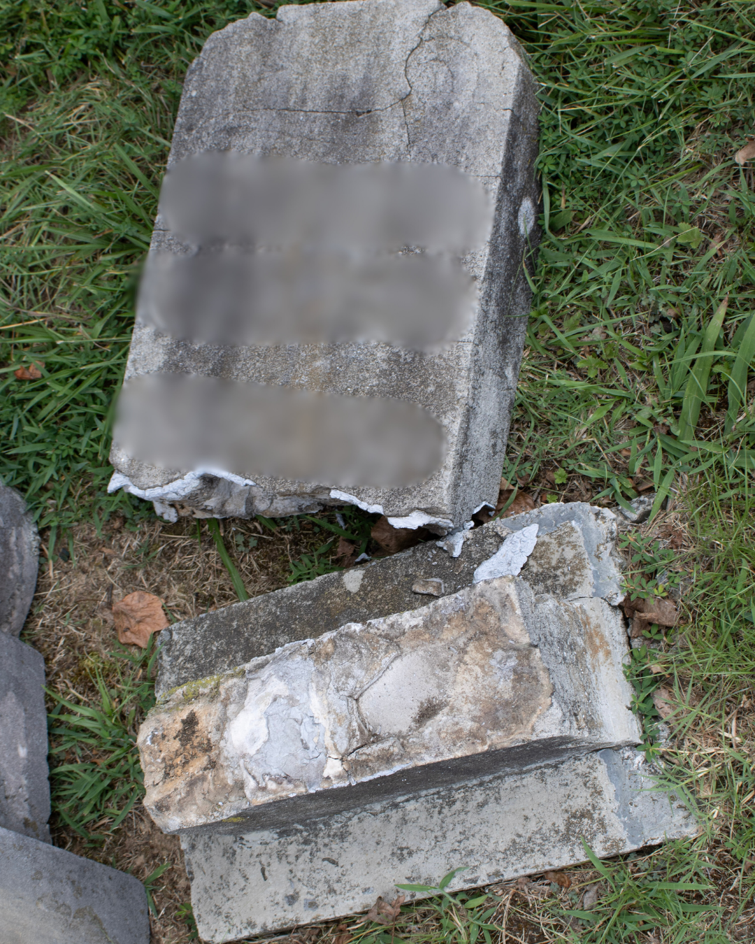 Untitled design (91)